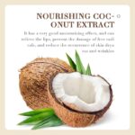 Sadoer Coconut Oil Lip Balm
